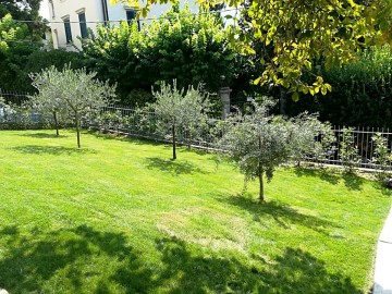 Garten der Villa Cernobbio - Ferienwohnung Comer See